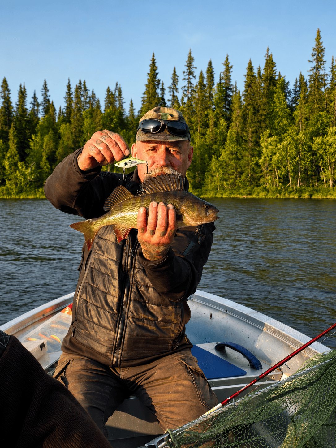 Angler mit Barsch und Koeder im Boot auf einem See in Schwedisch-Lappland