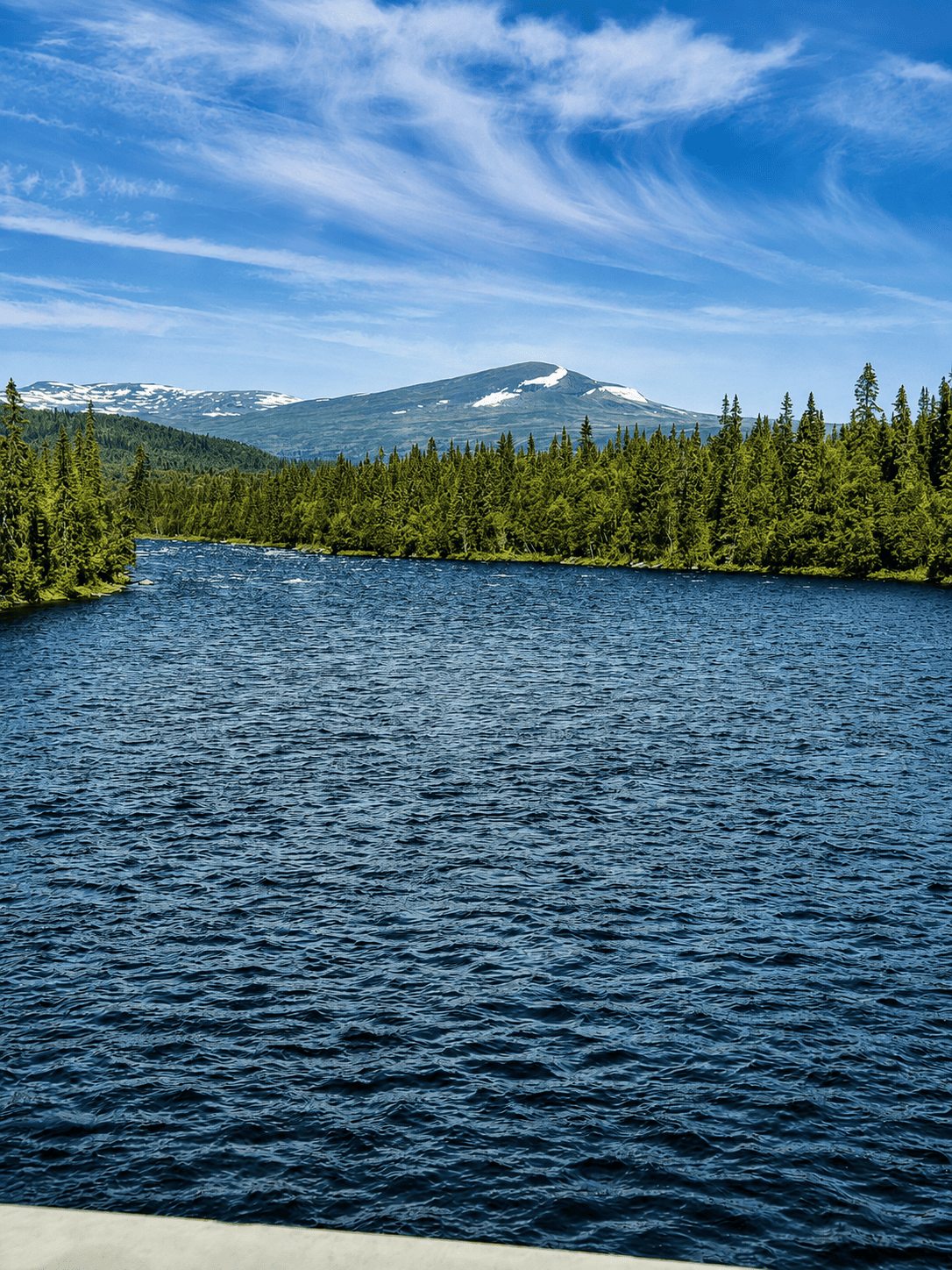 Blauer See mit Wald, Fjell und hellem Sommerhimmel