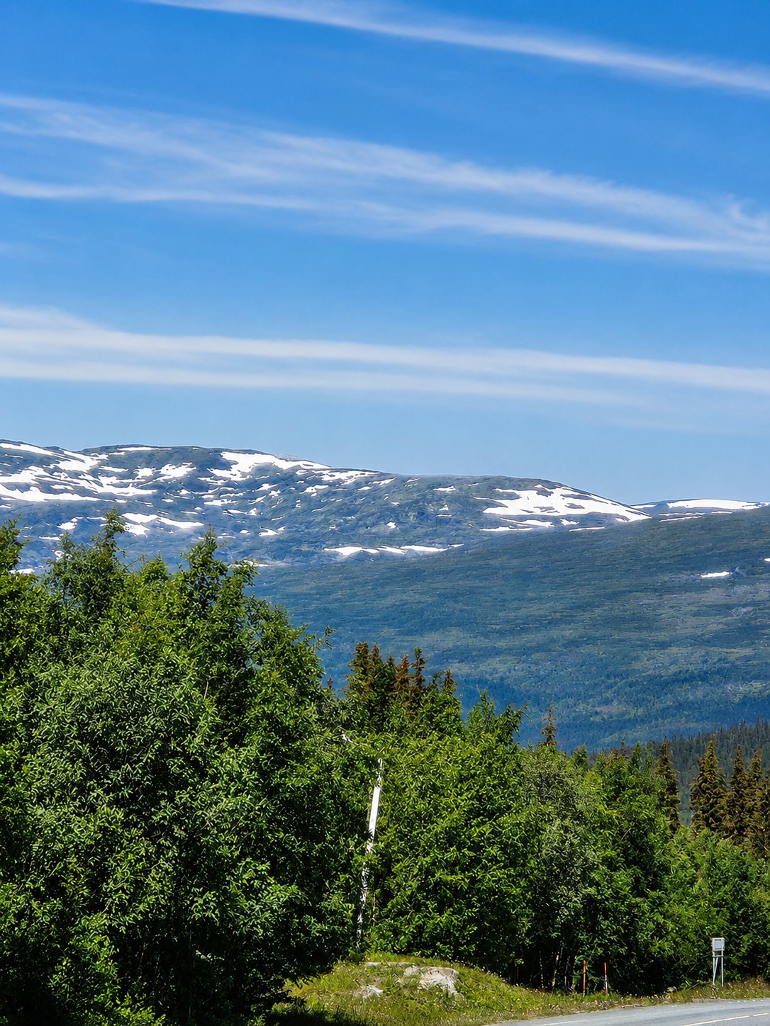 Blick ueber Wald und See auf helle Fjellberge